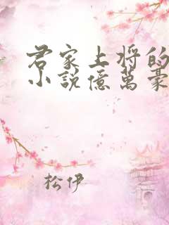 君家上将的命依小说亿万豪宠