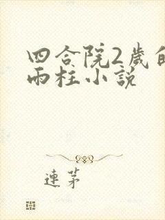 四合院2岁的何雨柱小说