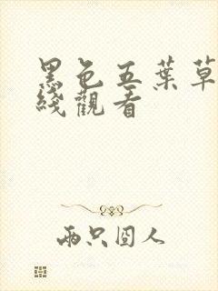 黑色五叶草 在线观看