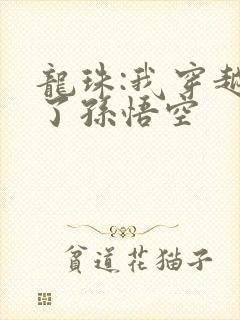 龙珠:我穿越成了孙悟空