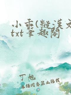 小乖(糙汉文)txt笔趣阁