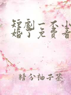 短剧一不小心闪婚了免费看