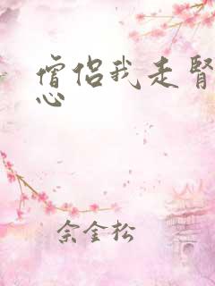 僧侣我走肾不走心