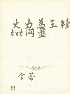 火力为王精校版txt网盘
