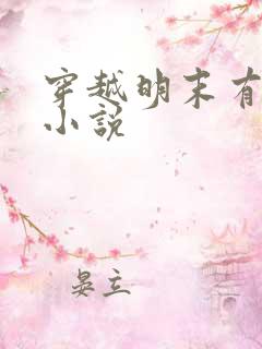 穿越明末有系统小说