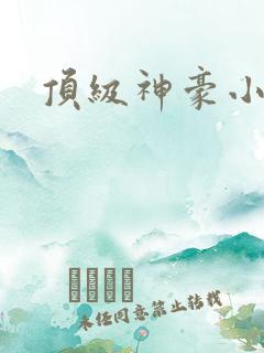 顶级神豪小说版