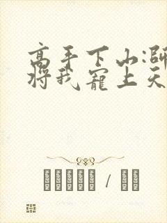 高手下山:师姐将我宠上天