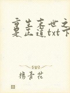 重生末世之宠妻是正道txt下载