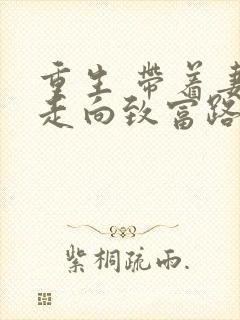 重生 带着妻儿走向致富路