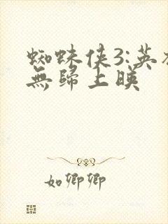 蜘蛛侠3:英雄无归上映