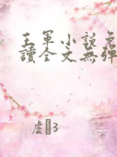 王军小说免费阅读全文无弹窗