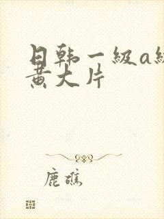 日韩一级a级特黄大片