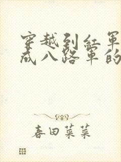 穿越到红军改编成八路军的小说