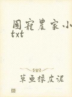 团宠农家小福女txt