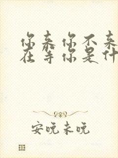 你来你不来我都在等你是什么歌曲