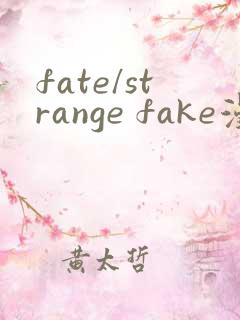 fate/strange fake漫画书
