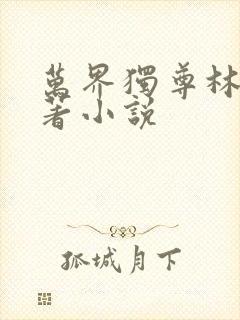 万界独尊林枫原著小说