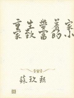 重生带着家人发家致富的小说