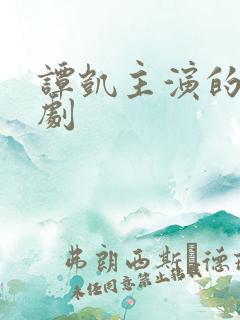 谭凯主演的电视剧