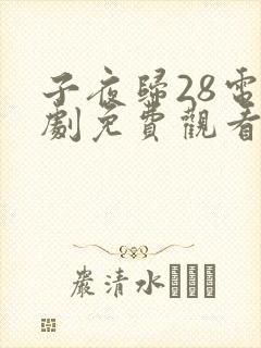 子夜归28电视剧免费观看全集高清