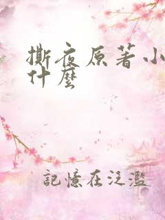 撕夜原著小说叫什么