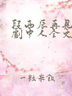 段西辰再见已无剧中人全文阅读小说