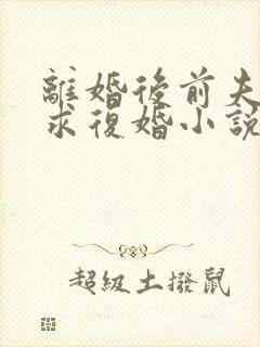 离婚后前夫哭着求复婚小说原文免费阅读