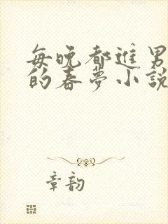 每晚都进男神们的春梦小说