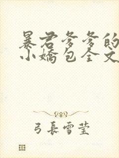暴君爹爹的团宠小娇包全文