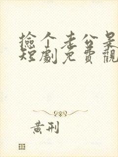 捡个老公是总裁短剧免费观看