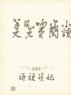 等风吻你小说全文免费阅读无弹窗