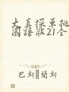 大真探单挑荒野国语版21全集