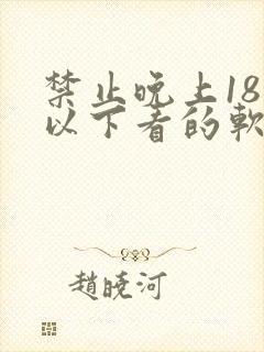 禁止晚上18岁以下看的软件