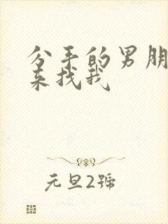 分手的男朋友回来找我