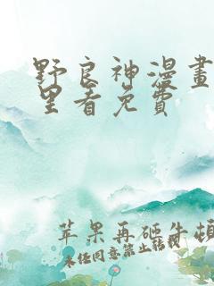 野良神漫画在哪里看免费