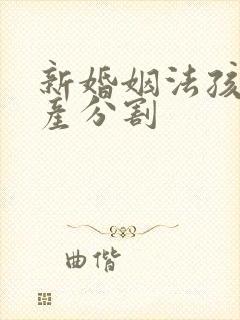 新婚姻法孩子财产分割