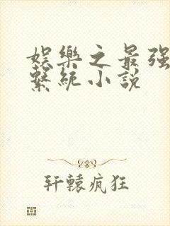 娱乐之最强明星系统小说