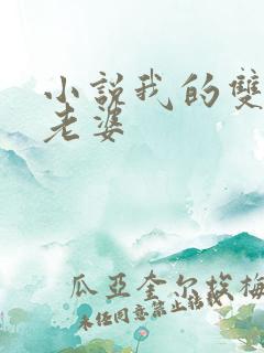 小说我的双胞胎老婆