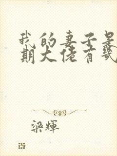 我的妻子是大乘期大佬有几个女主