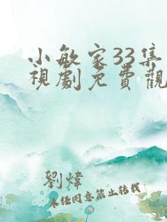 小敏家33集电视剧免费观看
