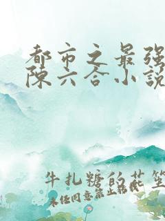 都市之最强狂兵陈六合小说
