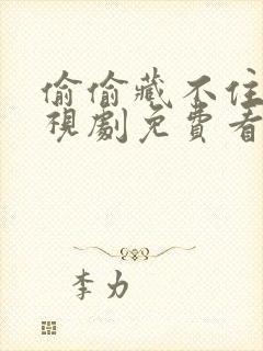 偷偷藏不住 电视剧免费看