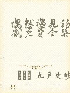 偶然遇见的你短剧免费全集免费播放