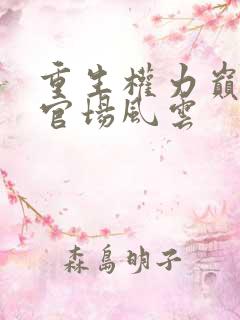 重生权力巅峰之官场风云