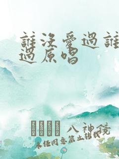 谁没爱过谁没伤过原唱