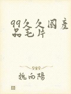 99久久国产精品毛片