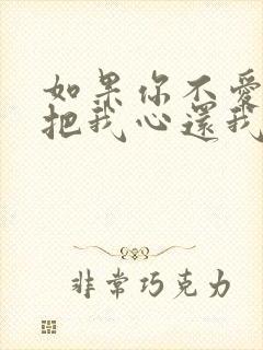 如果你不爱我就把我心还我什么歌