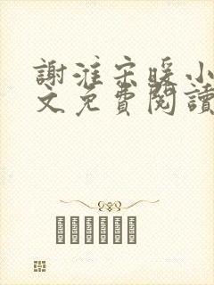 谢淮宋暖小说全文免费阅读