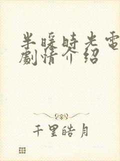 半暖时光电视剧剧情介绍