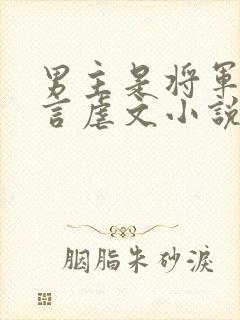 男主是将军的古言虐文小说